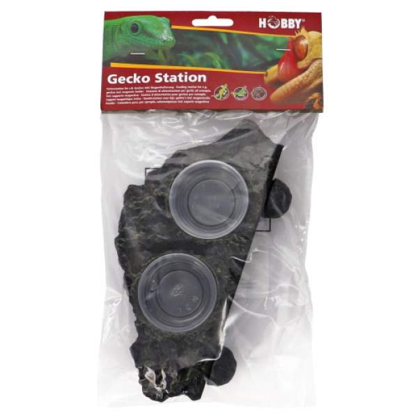 Gecko Station